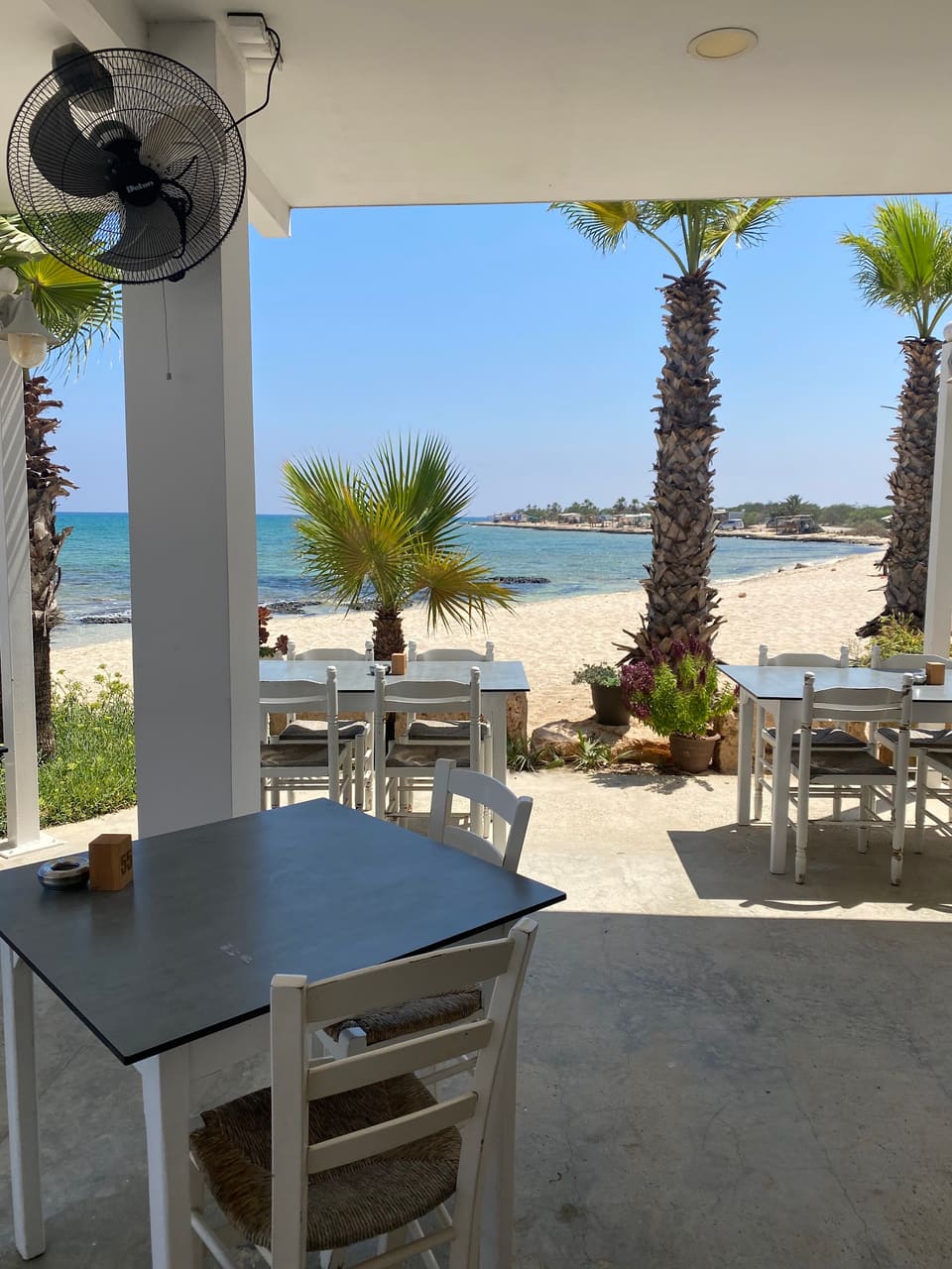 Demetrion Fish Restaurant in Ayia Napa