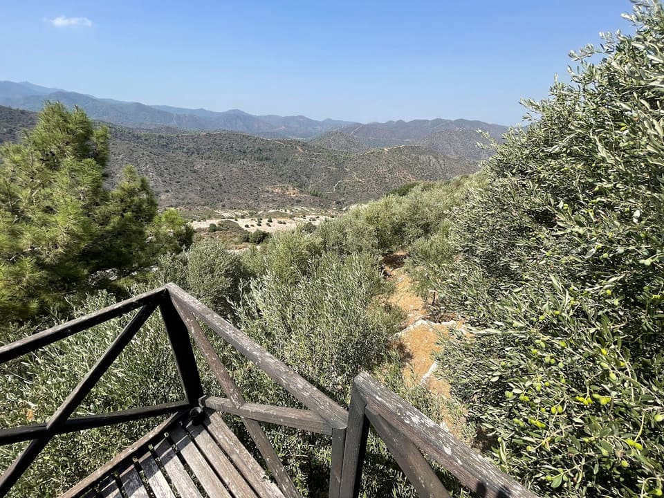 Terra Oliva Organic Olive Farm in Yukarı Lefkara