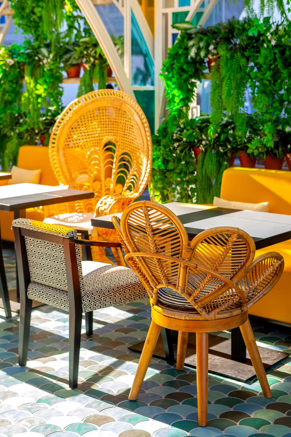 Vivid Kitchen & Bar in Larnaca