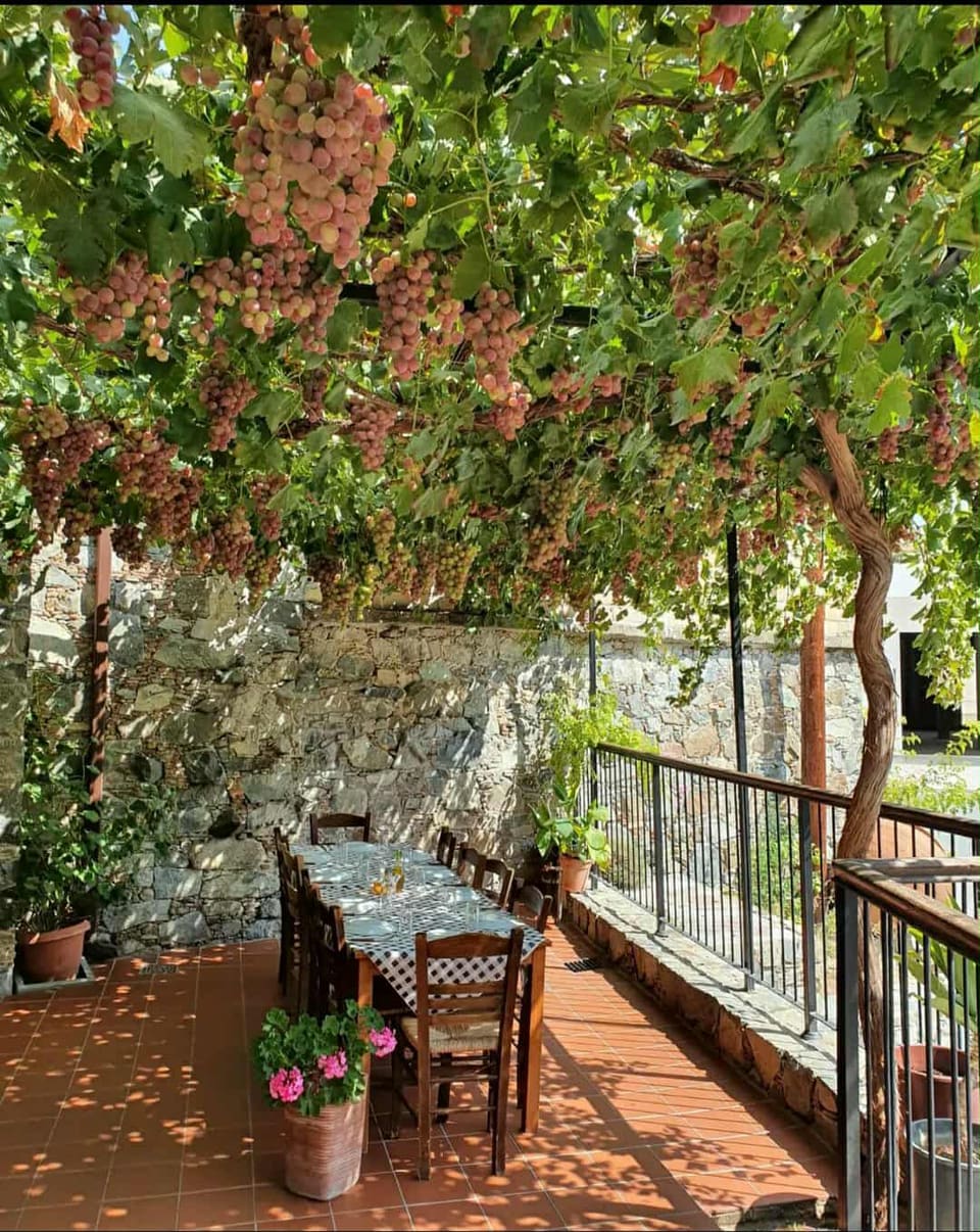 Kyperia Tavern & Bar in Kyperounta