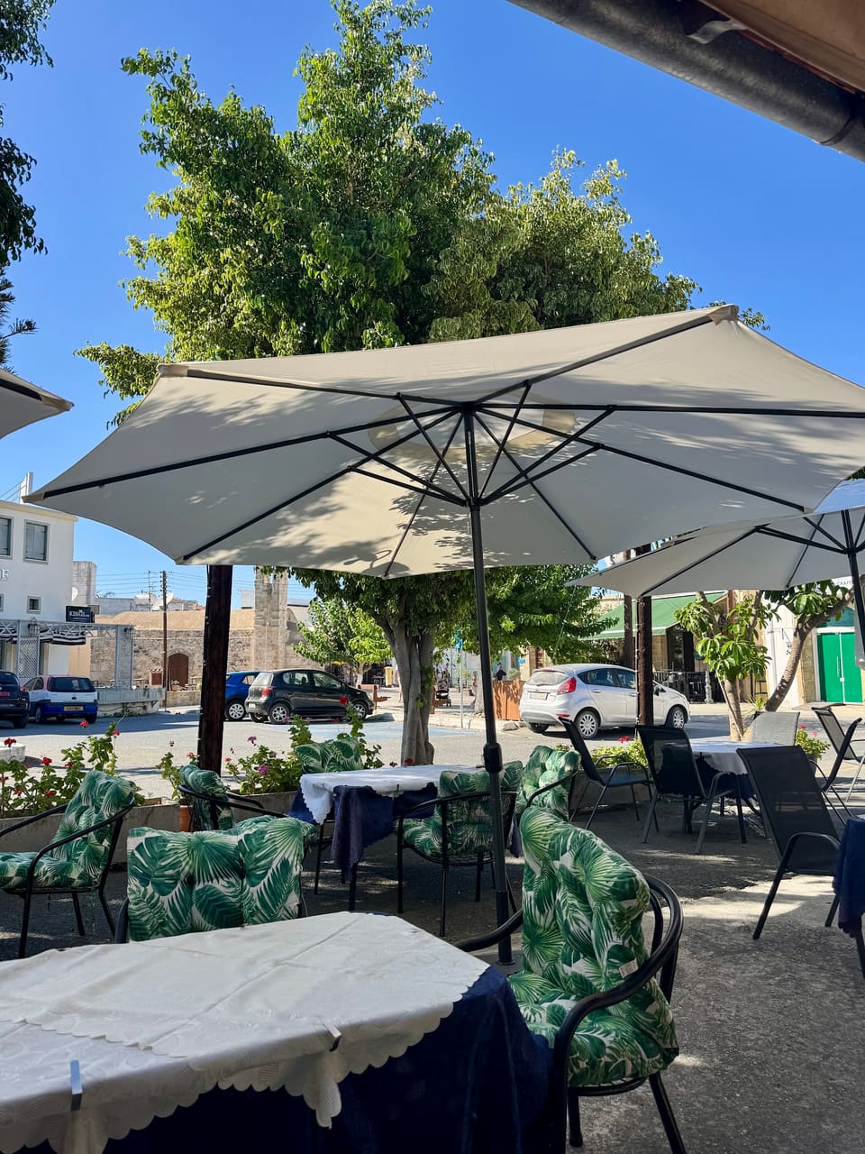 Miki's Tavern & Fish Restaurant in Poli Chrysochous