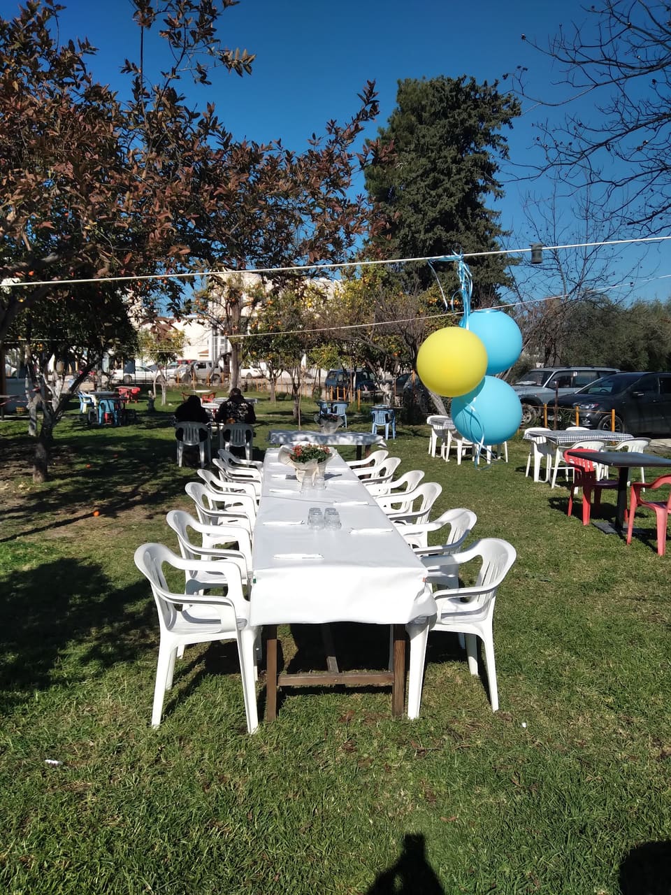 Vrisi Restaurant in Paphos